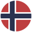 Norwegian flag icon