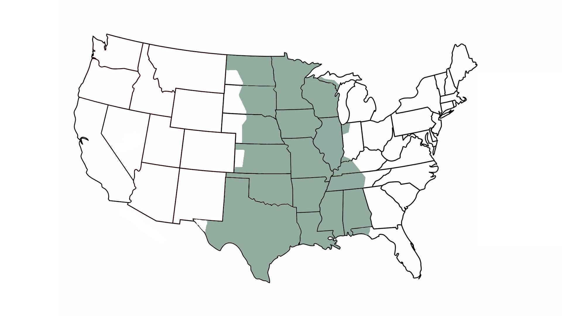 ES Central Timezone Cochlear Recipient Solutions