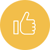 icon-yellow-candidacy.png