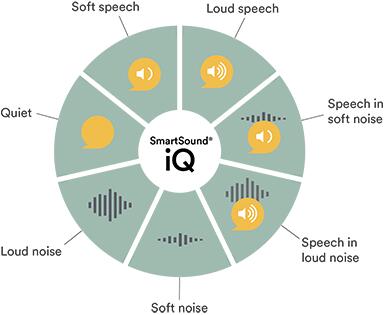 SmartSound_iQ_wheel-labels_2021.png