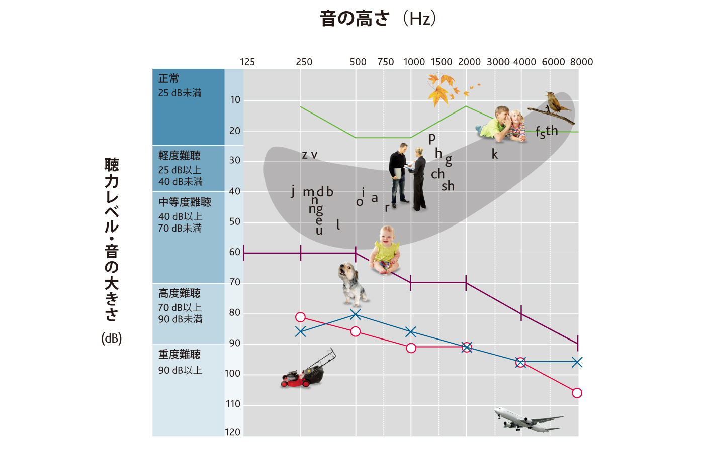 JP-Audiogram.jpg