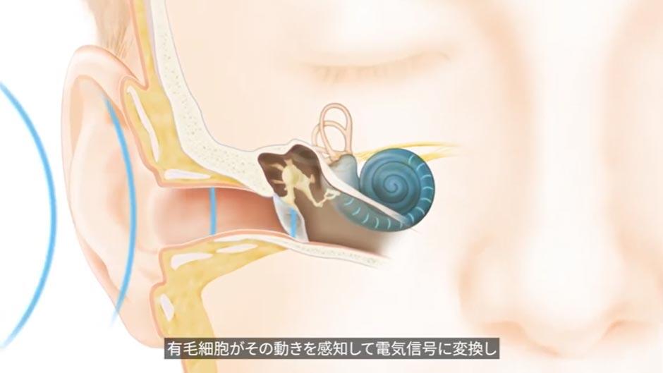 ja-JP_Nancho_How-hearing-works.jpg