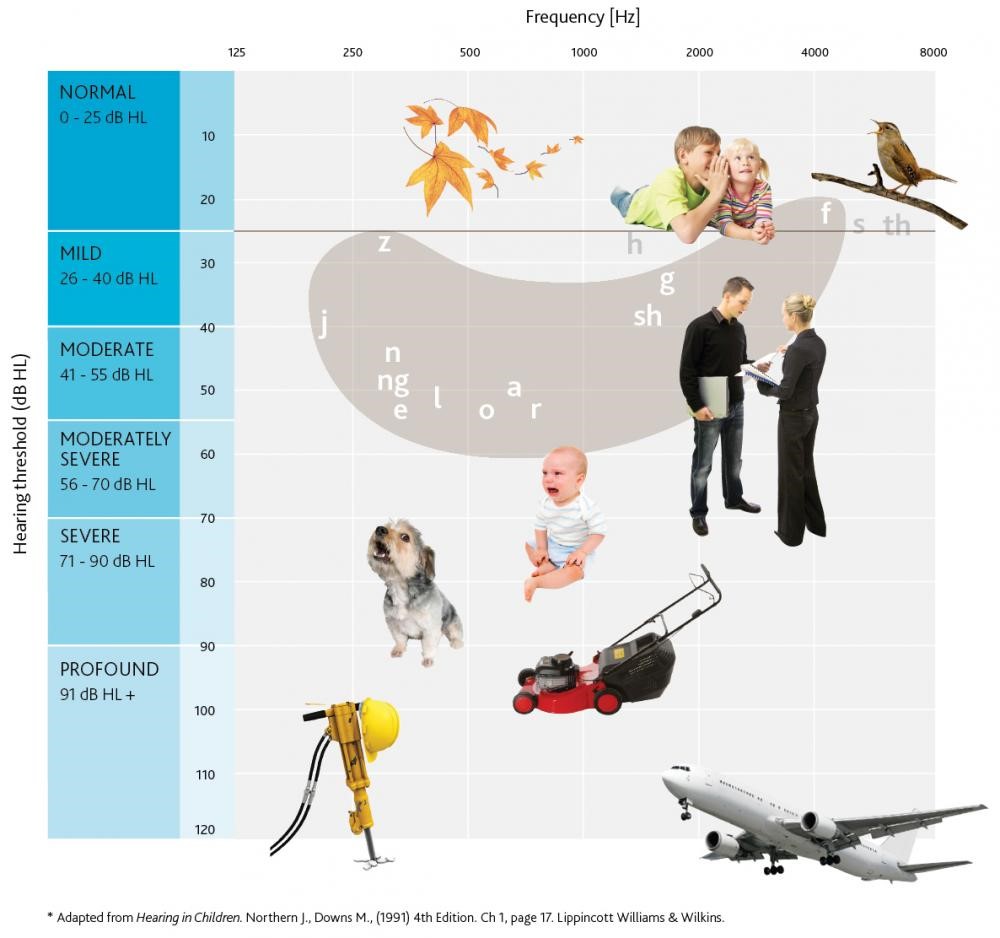 An image showing what a person can hear depending on their hearing loss