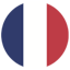 French flag icon