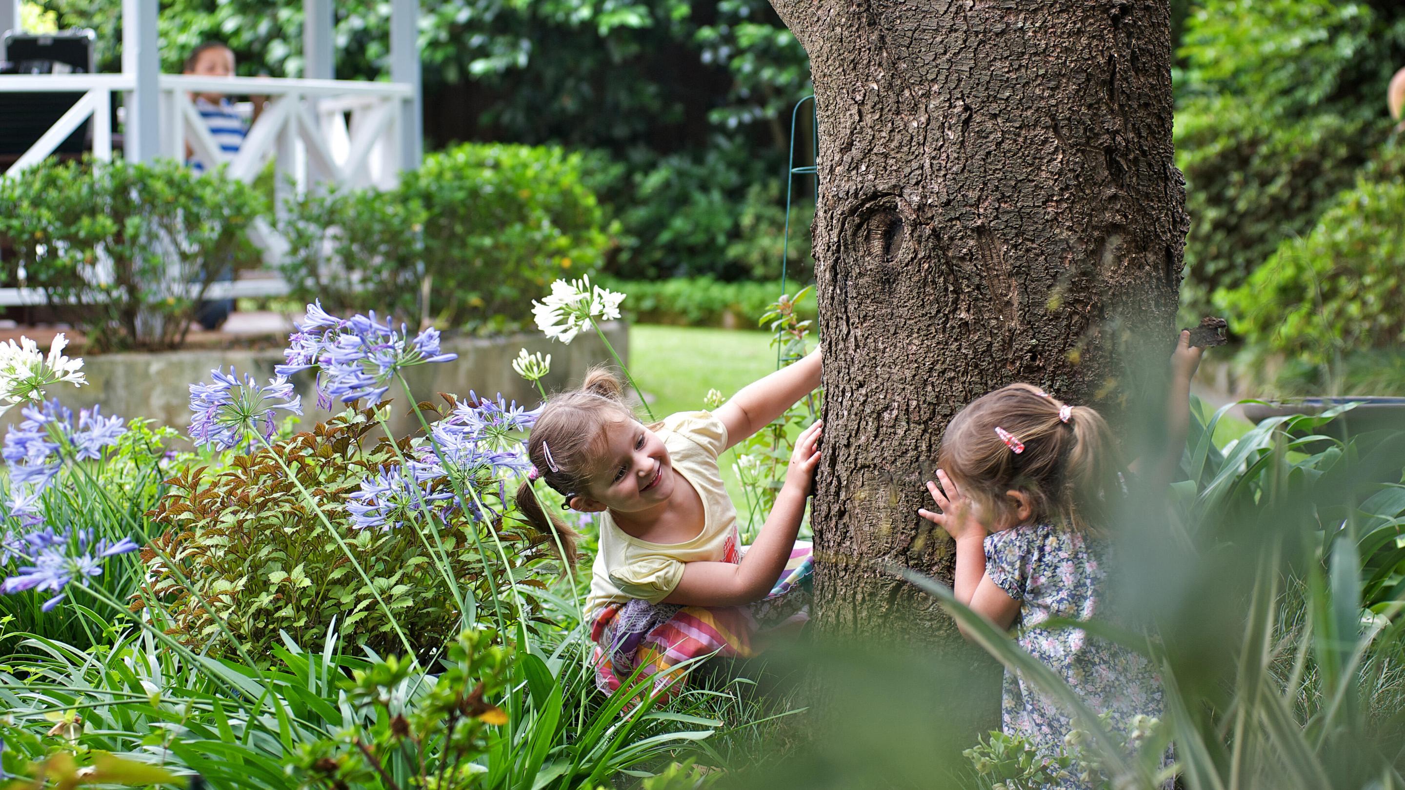 Niñas pequeñas jugando a las escondidas alrededor del tronco de un árbol