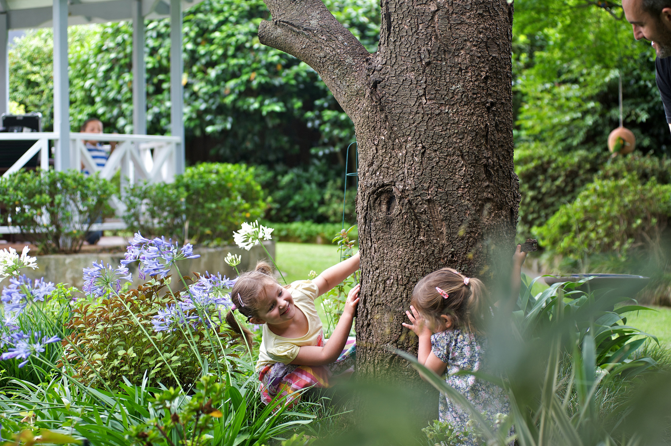 Little girls playing hide and seek around a tree trunk