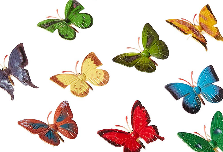 order-butterflies.jpg