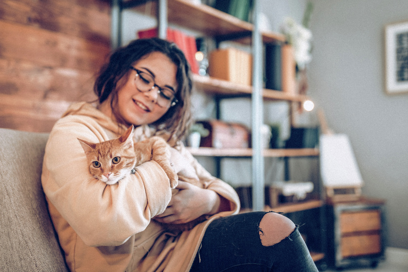 Kanepede bir kedi ile oturan kız